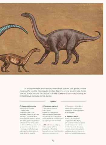 /upload/fotos/obras/interior_dinosaurium_web13_med.jpg